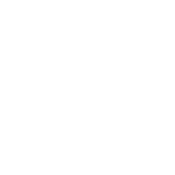 Science and Social Science